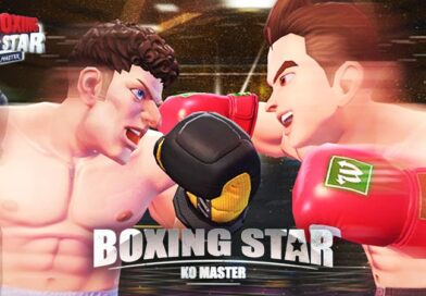 Boxing star: ko master